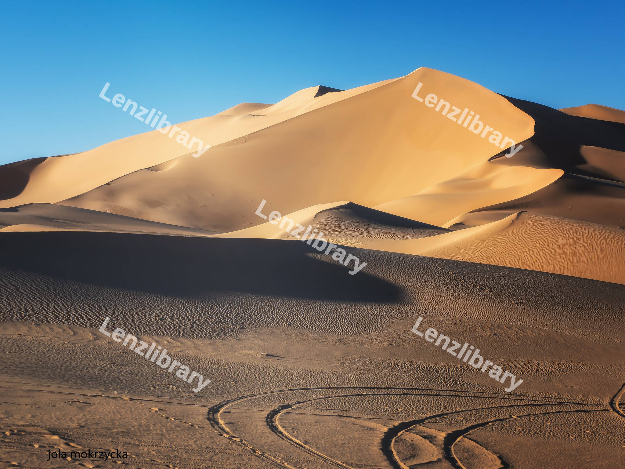 Sahara Desert Dune